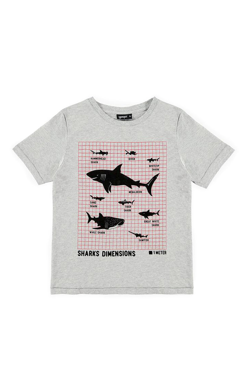 Sharks Sizes Tee
